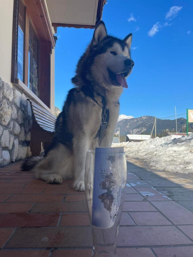 Al Cervo Albergo - Hotel Stabiziane Exteriör bild