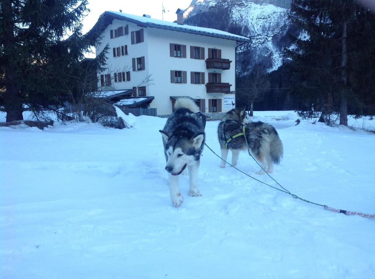 Al Cervo Albergo - Hotel Stabiziane Exteriör bild